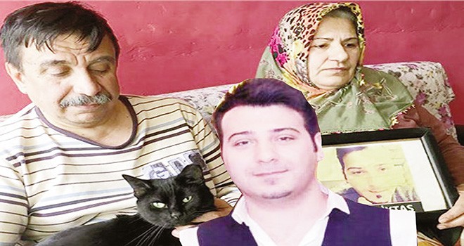 Terör kurbanı olan oğlunun kedisi onlara yadigar kaldı