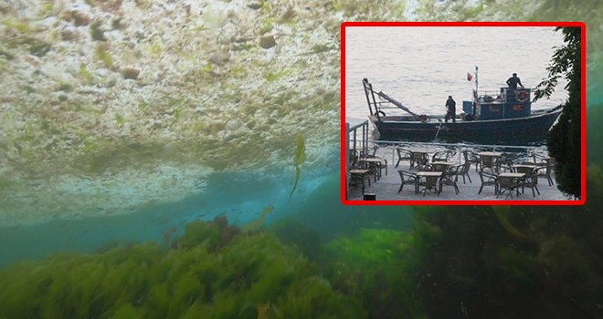 Kaçak midye avcılarına ceza! Midyeler koruma altında