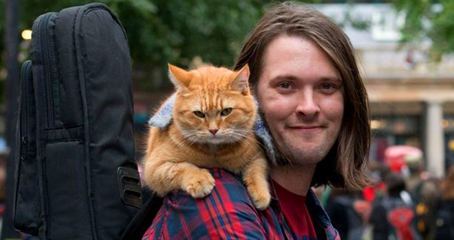 Evsiz bir adamın hayatını değiştiren kedi Bob yaşama veda etti