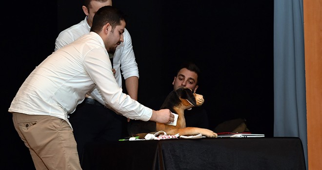 Beşiktaş'ta hayvanlar için hayvanseverlere eğitim
