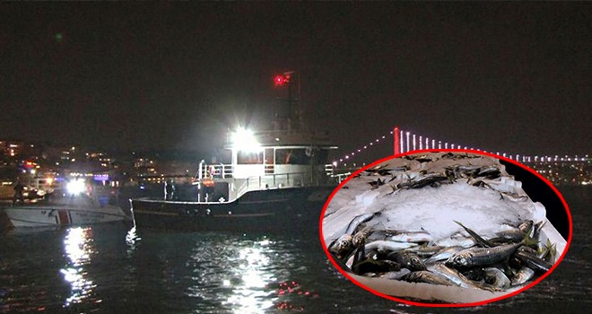 İstanbul'da balık avı yasağı! 11 milyon TL para cezası