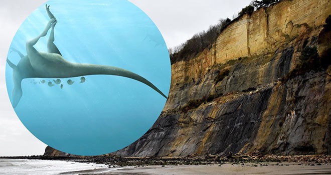 Bilim insanları yeni bir dinozor türü keşfetti