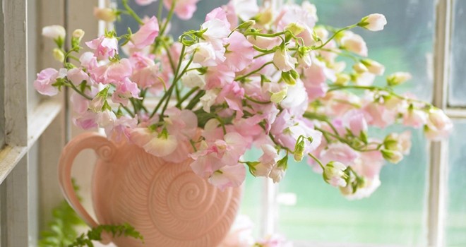 Yatak odanızda doğru bitkiyi bulundurun