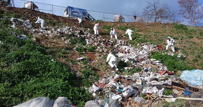 İBB, Adalar'da 25 ton çöp topladı