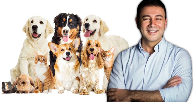 Genç Başkandan alkışlanacak hareket! Petshop'larda hayvan satışını yasakladı