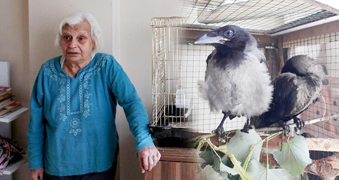 Evinde yaralı kargaya bakan kadına kesilen para cezası iptal edildi