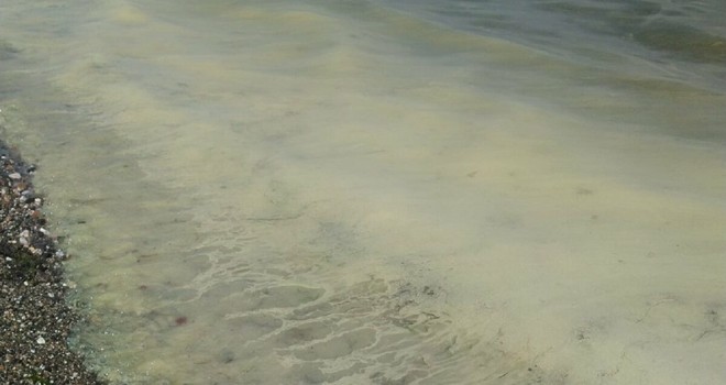 Marmara Denizi’nde müsilaj kabusu geri döndü!