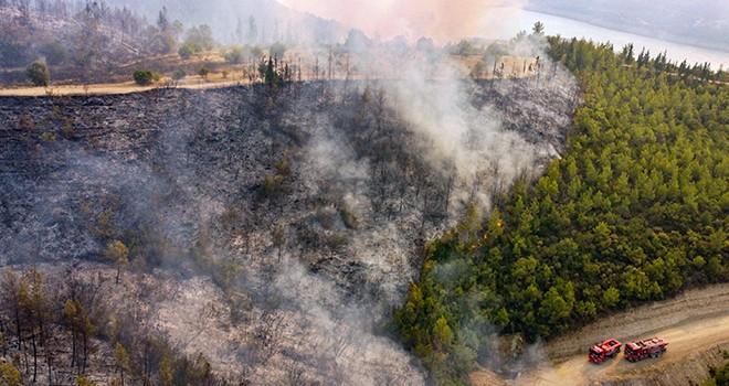 Türkiye'de yangında yok olan alan son 13 yılın yıllık ortalamasını geride bıraktı
