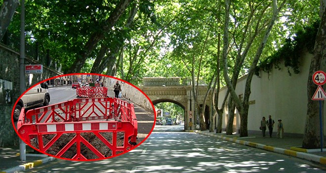 Çırağan Caddesi'ndeki kanserli 112 çınar da kesildi