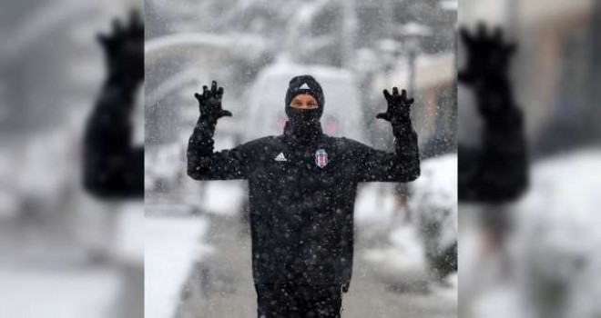 Kartal güç topluyor