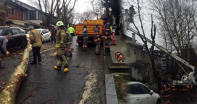 ÖZEL HABER: Ne varsa emekçilerde var! Dondurucu soğukta devrilen ağaçlar, ezilen araçlar, kapanan yollarla mücadele ediyorlar!