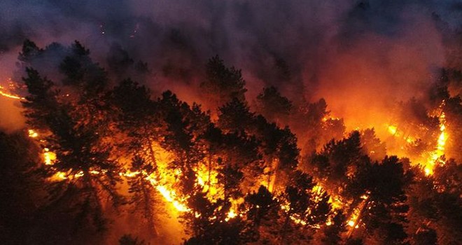 Türkiye'de yangın kabusu devam ediyor! İşte 10'uncu günde son durum