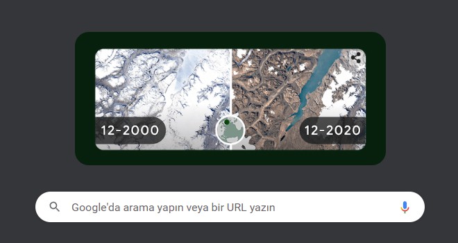 Google'dan Dünya Günü'ne özel doodle!