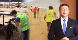 Beşiktaş'tan yangın bölgesine destek için giden ekip İstanbul'da!