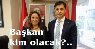 Fil ile Aslan karşı karşıya
