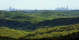 11 ilde orman sınırları dışına çıkarılması kararı!