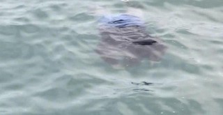 Ben bir şey yapamam