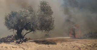 İBB ekiplerinden Manavgat, Marmaris ve Bodrum’daki yangınlarda mücadele