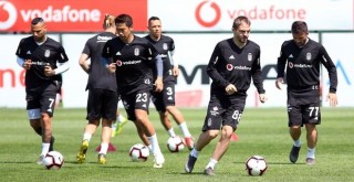 Kartal taktik çalışıyor