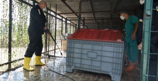 Patili dostların yaşam alanları temizlendi