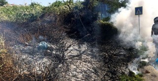Beşiktaş'ta otluk alanda yangın paniği
