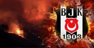 Beşiktaş'tan  1903 adet ağaç