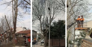 ÖZEL HABER: Beşiktaş'ta Park ve Bahçeler Müdürlüğü emekçileri kar kış dinlemiyor!