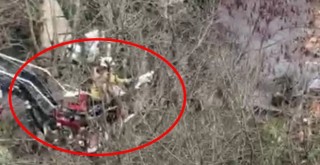 Beşiktaş'ta kedi kurtarma operasyonu