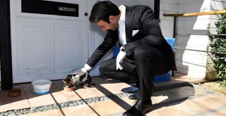 Beşiktaş Belediyesi'nden evcil hayvan ticaretine yasak