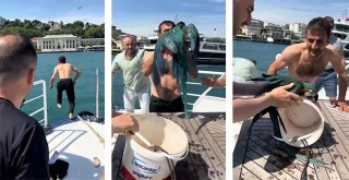 İstanbul Boğazı’na düşen papağan için seferber olundu!