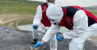 İstanbul’da baraja kimyasal atık karıştı!