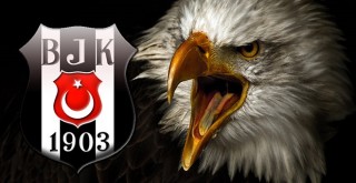 Kartallar yuvaya dönüyor