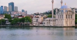 Boğaz'da yunuslardan görsel şölen