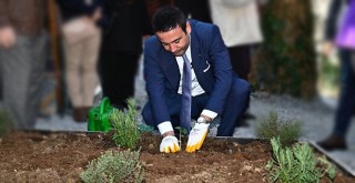 Beşiktaş'ta Konaklar Bostanı açıldı!