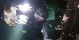Sahil Güvenlik Komutanlığı ekiplerinin kedi kurtarma operasyonu