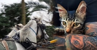 Nurşen Çakıroğlu’ndan KARMAŞIK Fotoğraf Sergisi…