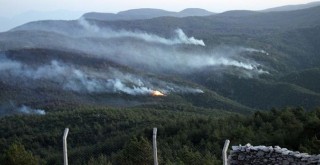 Milas ve Köyceğiz dışında orman yangınları kontrol altında!