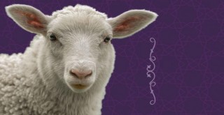 Kurban Bayramı tatili yaklaşıyor