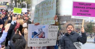 ÖZEL HABER: Beşiktaş'ta hayvanseverler toplandı! Cumhurbaşkanı açıklama yaptı! Belediye çalışmaları! Kaymakamdan önemli alıntı!