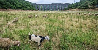 İstanbul'da su kesintileri kapıda!