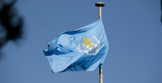 Dünya Sağlık Örgütü'nün tavsiyesi oyun oynayın