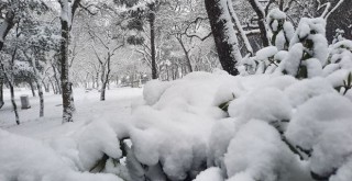 Yıldız Parkı'ndan masal gibi kar manzaraları