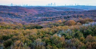 İstanbul'daki tüm ormanlar imara açılıyor! Ağaçların yerine AVM, rezidans, konut...