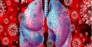 Koronavirüs salgını devam ediyor