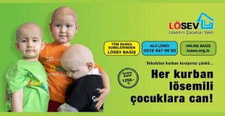 LÖSEV'de et ve et ürünleri desteği tüm yıl sürüyor