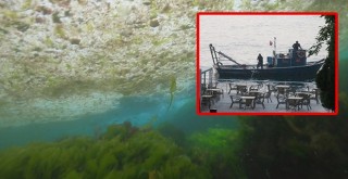 Kaçak midye avcılarına ceza! Midyeler koruma altında