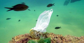 Koronavirüsle birlikte su altında maske ve eldiven atıkları arttı