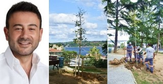 Beşiktaş'ta Ayazma Parkı'na yeni ağaçlar dikildi!