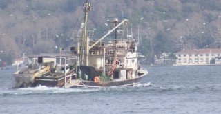 İstanbul'da 71 tekneye el konuldu