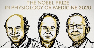 2020 Nobel Tıp Ödülü sahiplerini buldu